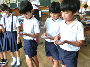 Photo_10