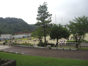 Cimg1796 Cimg1796